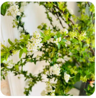 【中国联通】联通顺宁卡 - 39.00元/月｜50G流量+100分钟