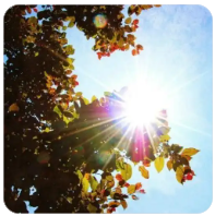 【中国联通】重庆小山卡 - 19.00元/月 | 100G流量