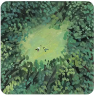 【中国联通】广西银龙卡 - 39.00元/月 | 219G流量