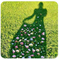 号卡代理平台选择指南：五大核心优势对比分析