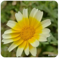 2026年最新大流量套餐产品库全集：电信/联通/移动/广电高性价比卡推荐