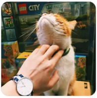 ✨2026年爆款大流量套餐推荐🔥电信|联通|移动|广电全对比📱