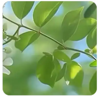 🔥2026年热门大流量套餐排行榜｜电信·联通·移动·广电爆款推荐