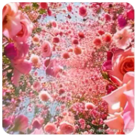 【中国联通】重庆小山卡 - 19.00元/月 | 100G流量