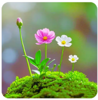 2026年最新大流量套餐产品库全集：电信/联通/移动/广电高性价比卡推荐